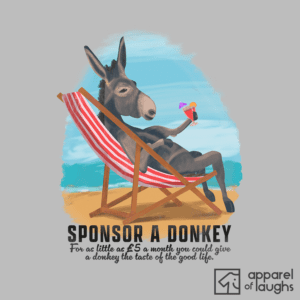 Sponsor A Donkey Beach Summer Deck Chair British Seaside T-Shirt Design Sports Grey