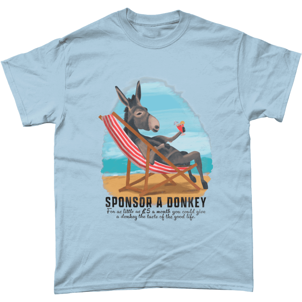Sponsor A Donkey Beach Summer Deck Chair British Seaside T-Shirt Light Blue